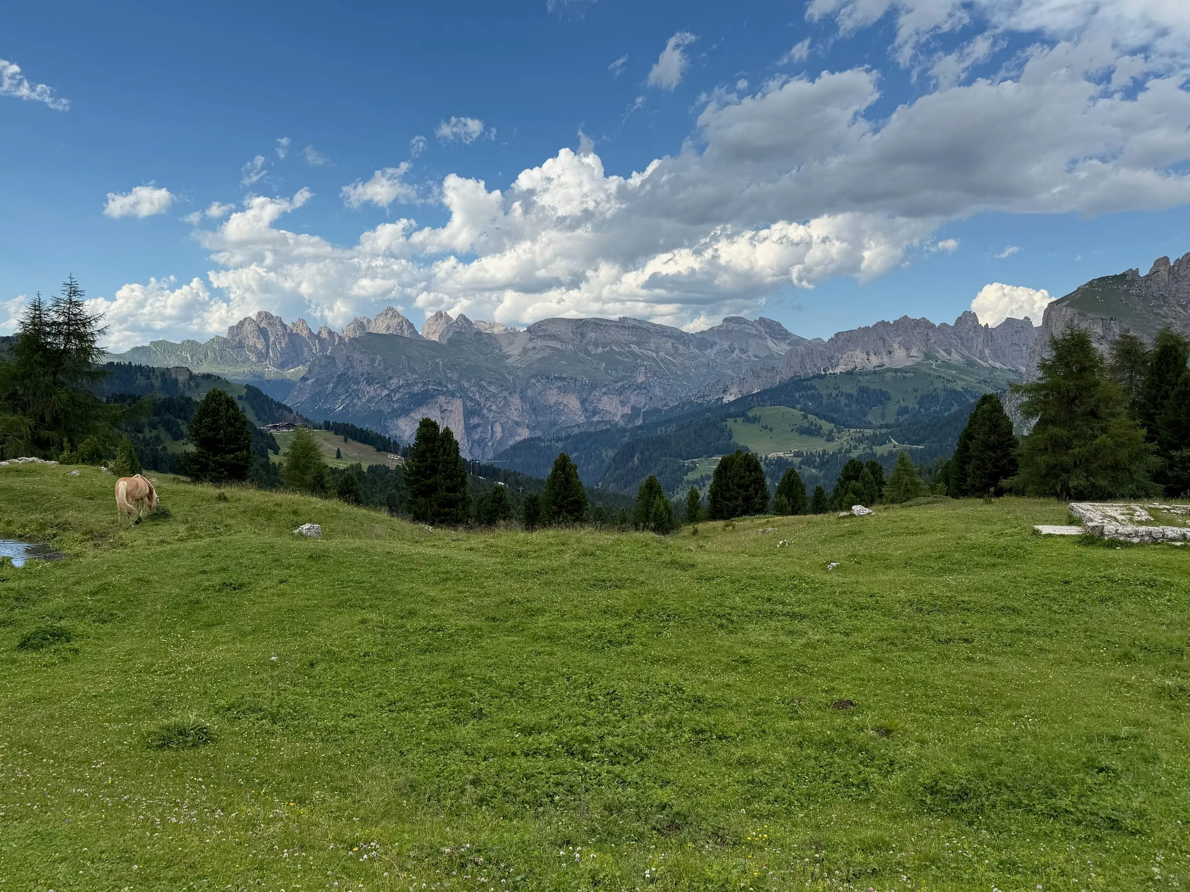 A horse grazing in a meadow with the Dolomite ridgeline stretching across the horizon